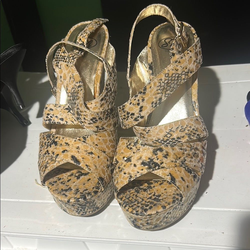Source Unknown Brown and Black Platform Shoes with Exotic Snake Print